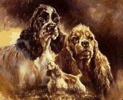 American Cocker Spaniel  Limited Edition Print 'American Cocker Spaniel' by Mick Cawston