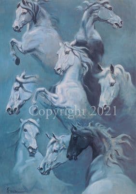 Andalusian Stallion Greeting Card 'Magic' by Malcolm Coward C125