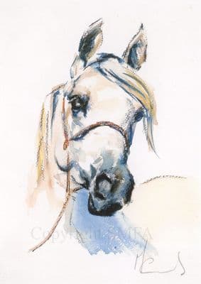 Arab Horse Blank Greetings Card  'Head of A Lady' by Malcolm Coward C146