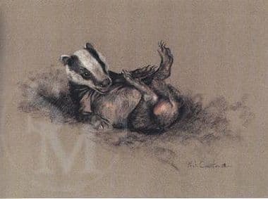 Badger Limited Edition Print 'Joy of Spring' by Mick Cawston