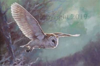 Barn Owl in the Snow Christmas Cards 'Night Owl' by John Trickett C587X