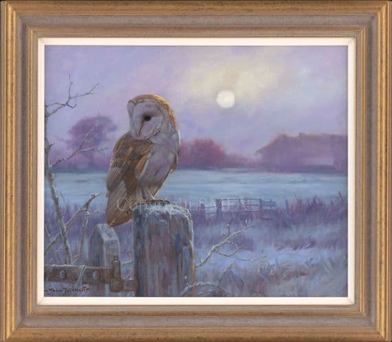Barn Owl Painting 'Evenfall' by John Trickett