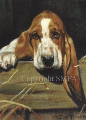 Basset Hound Blank Greetings Card 'I am Listening!' by John Trickett C277