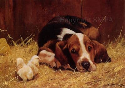 Basset Hound Blank Greetings Card 'I'm Watching' You by John Trickett B22