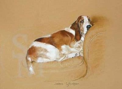 Basset Hound Limited Edition Print 'The Comfort Zone' Debbie Gillingham