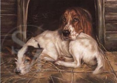 Bassett Hound Blank Greetings Card 