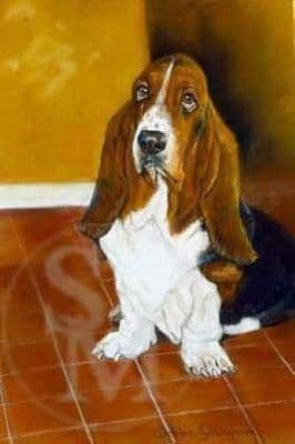 Bassett Hound Blank Greetings Card 'They're Late!' by Debbie Gillingham C217