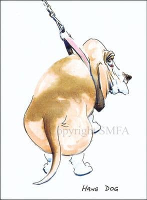 Bassett Hound Funny Blank Greetings Card 