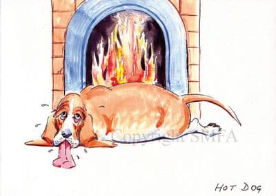 Bassett Hound Funny Blank Greetings Card 