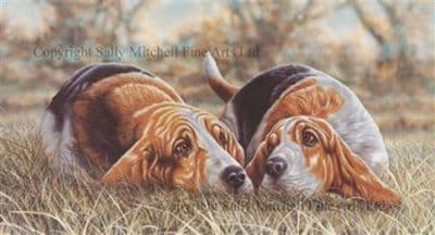 Bassett Hound Limited Edition Print 'Here's Looking At You' by Paul Doyle