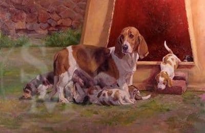 Bassett Hound Limited Edition Print 'No Standing Room' by Elizabeth Scrivener