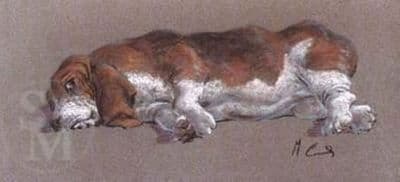 Bassett Hound Limited Edition Print 'One Fat Lady' by Malcolm Coward