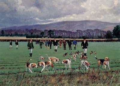 Beagle Blank Greetings Card 'Shrivenham Beagles' by Malcolm Coward B67