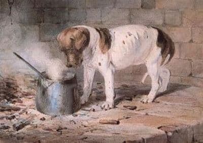 Beagle Blank Greetings Card 'The Watched Pot' by Thomas Woodward B71