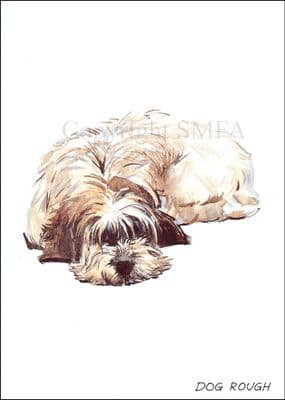 Bearded Collie Funny Blank Greetings Card  'Dog Rough' by Malcolm Coward M034
