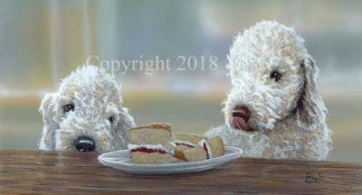 Bedlington Terrier Limited Edition Print 'Bedlington Birthday' by Paul Doyle
