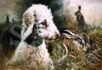 Bedlington Terrier Limited Edition Print 'Bedlington Terrier' by Mick Cawston