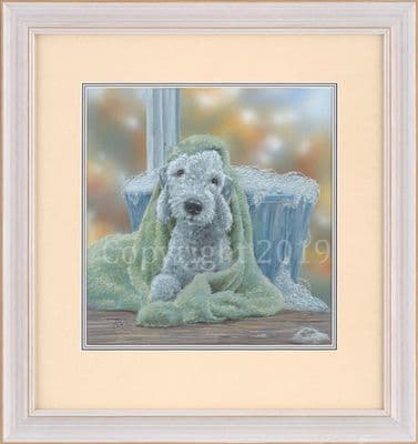 Bedlington Terrier Original  Painting 'Bedlington Bathtime' by Paul Doyle
