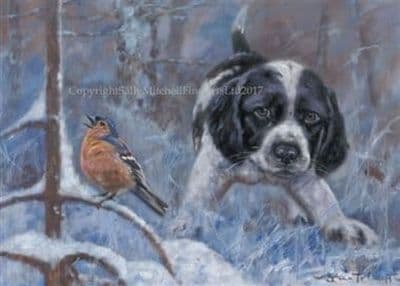 Black and White Springer Pup Christmas Cards 'Practice Makes Perfect'  by John Trickett C515X