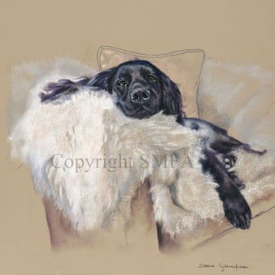 Black Cocker Spaniel Limited Edition Print 'Siesta' by Debbie Gillingham
