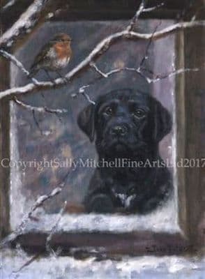 Black Labrador and Robin Christmas Cards 'Christmas Dreams' by John Trickett C507X