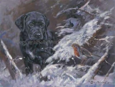 Black Labrador and Robin Christmas Cards 'The Beginner' by John Trickett C514X