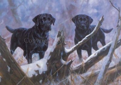 Black Labrador Blank Greeting Card 'At Your Service' by John Trickett C111