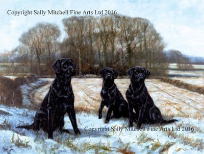 Black Labrador Blank Greeting Card 'Early Snow' by John Trickett C238