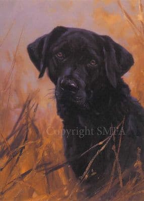 Black  Labrador Blank Greeting Card 'Kindness' by John Trickett C30