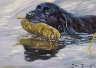 Black Labrador Blank Greeting Card 'Practice Run' by John Trickett C151