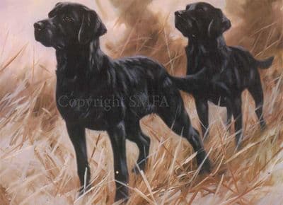 Black Labrador Blank Greeting Card 'The Perfect Pair' by John Trickett C14