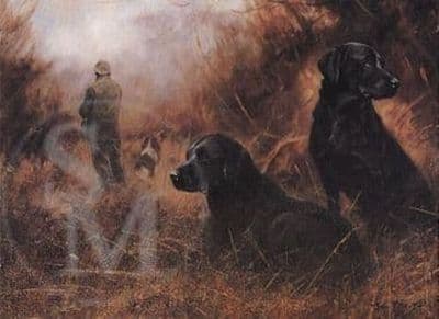 Black Labrador Blank Greetings Card 'A Few Minutes Rest' by John Trickett B80