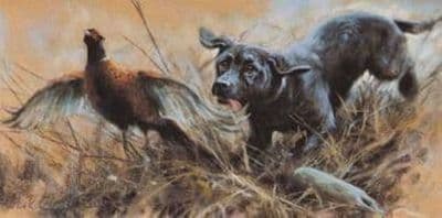 Black Labrador Blank Greetings Card 