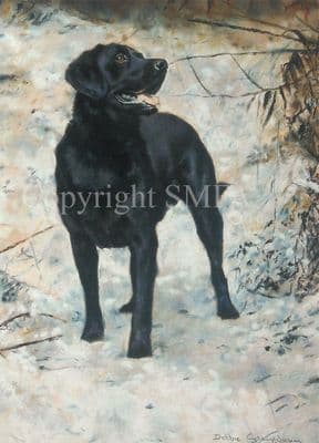 Black Labrador Blank Greetings Card 'His Master's Voice' by Debbie Gillingham C175