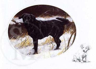 Black Labrador Blank Greetings Card 