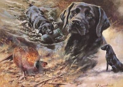 Black Labrador Blank Greetings Card 'Old Faithful' by Mick Cawston B109