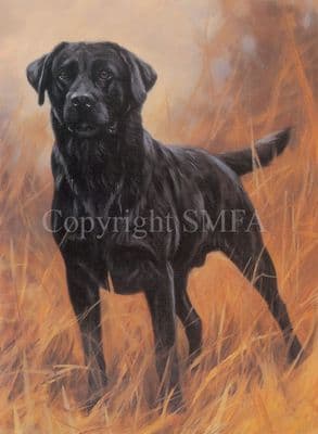 Black Labrador Blank Greetings Card 'Ready For Anything' by John Trickett C29