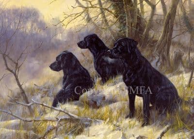 Black Labrador Blank Greetings Card 