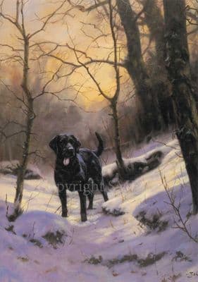 Black Labrador Blank Greetings Card 'Warm Hearts on a Cold Day' by John Trickett C48