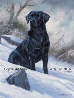 Black Labrador Blank Greetings Card 'Winter Boy' by John Trickett C137