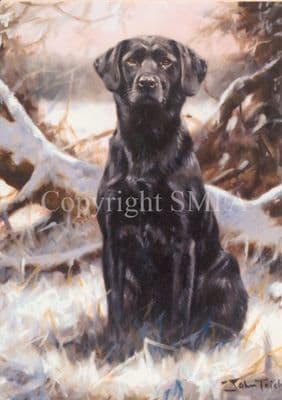 Black Labrador Blank Greetings Card 'Winter Lab' by John Trickett C338