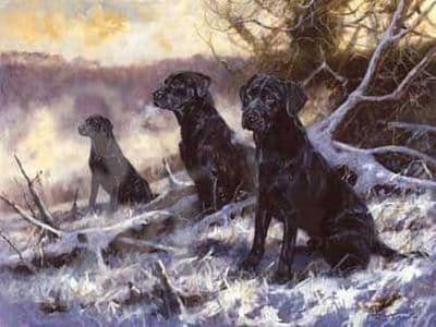 Black Labrador Blank Greetings Cards 'Winter Workers' by John Trickett C274
