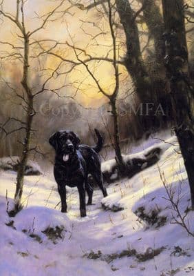 Black Labrador Christmas Card 'Warm Hearts on a Cold Day' by John Trickett C48X