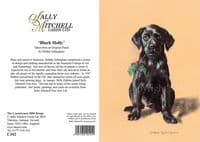 Black Labrador Christmas Cards 'Black Holly' by Debbie Gillingham C342X