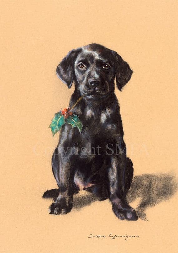 Black Labrador Christmas Cards 'Black Holly' by Debbie Gillingham C342X