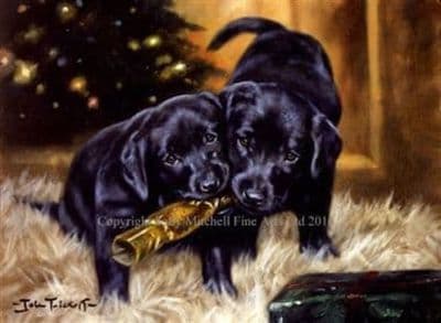 Black Labrador Christmas Cards 'Christmas Cracker' by John Trickett C188X