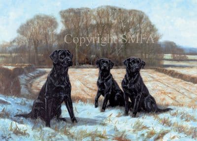 Black Labrador Christmas Cards 'Early Snow' by John Trickett C238X