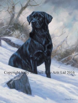 Black Labrador Christmas Cards 'Winter Boy' by John Trickett C137X