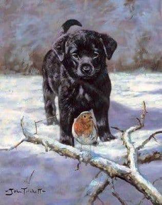 Black Labrador Christmas Cards 'Winter Companions' by John Trickett C402X