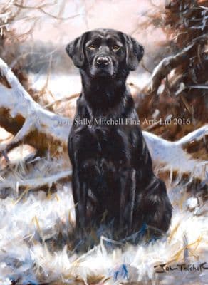 Black Labrador Christmas Cards 'Winter Lab' by John Trickett C338X